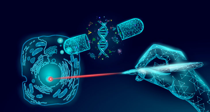 Agrobacterium-Mediated Gene Transfer